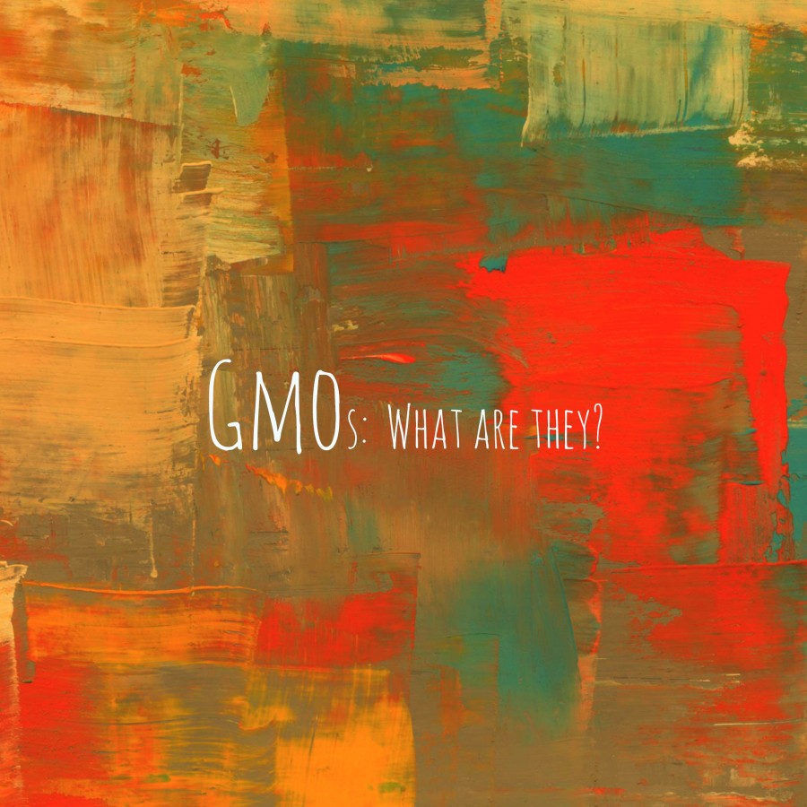 Nicole Cormier For A Digestive Peace of Mind—Kate Scarlata RDN