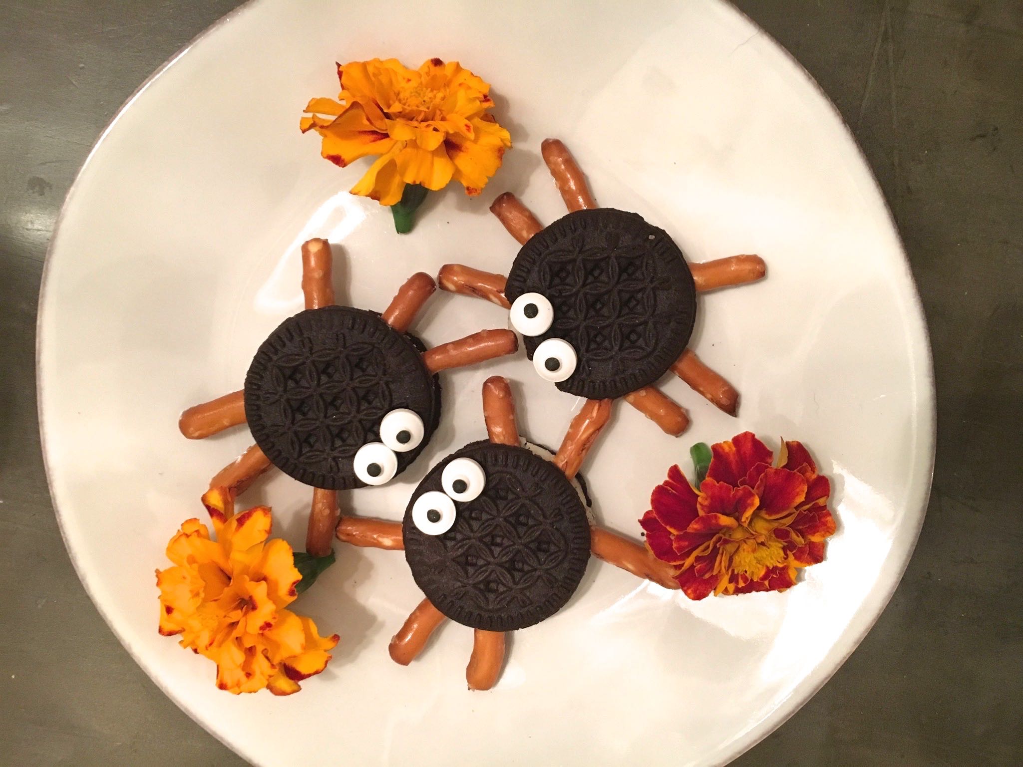 spider-cookies