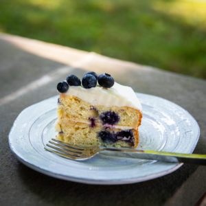 Gluten Free + Low FODMAP Blueberry Cake | For A Digestive Peace of Mind ...