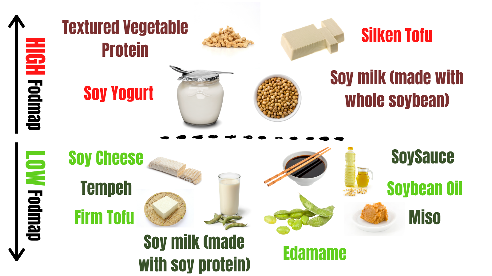 soy-protein-early-in-life-may-help-prevent-bone-loss-in-adulthood-opnews