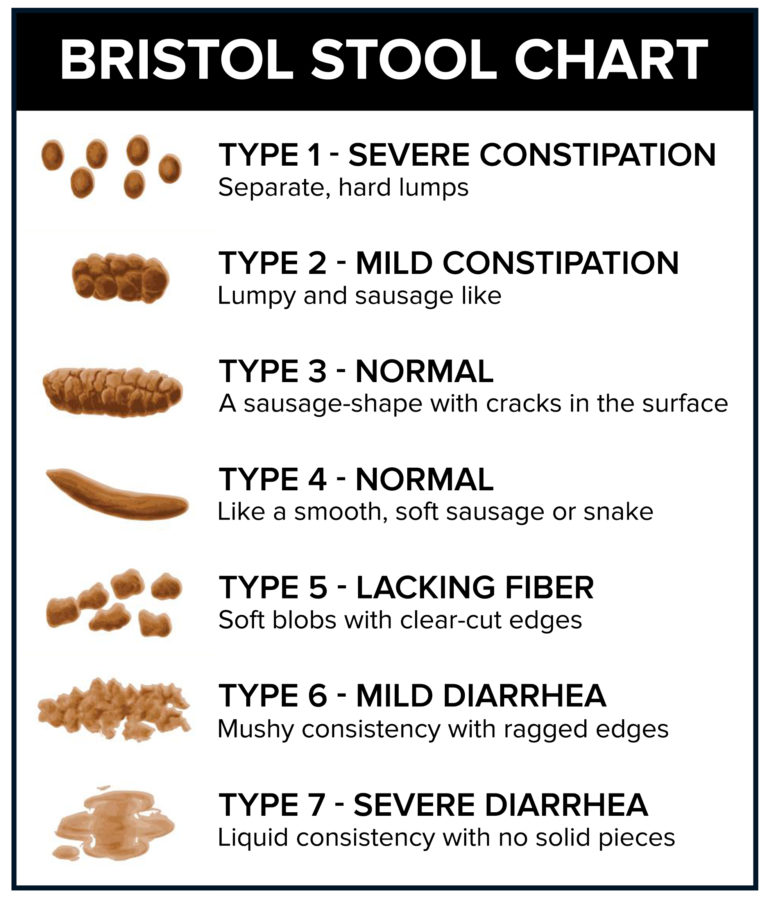 Common Disorders Associated With Diarrhea For A Digestive Peace Of   Bristol Stool Chart 768x899 1 