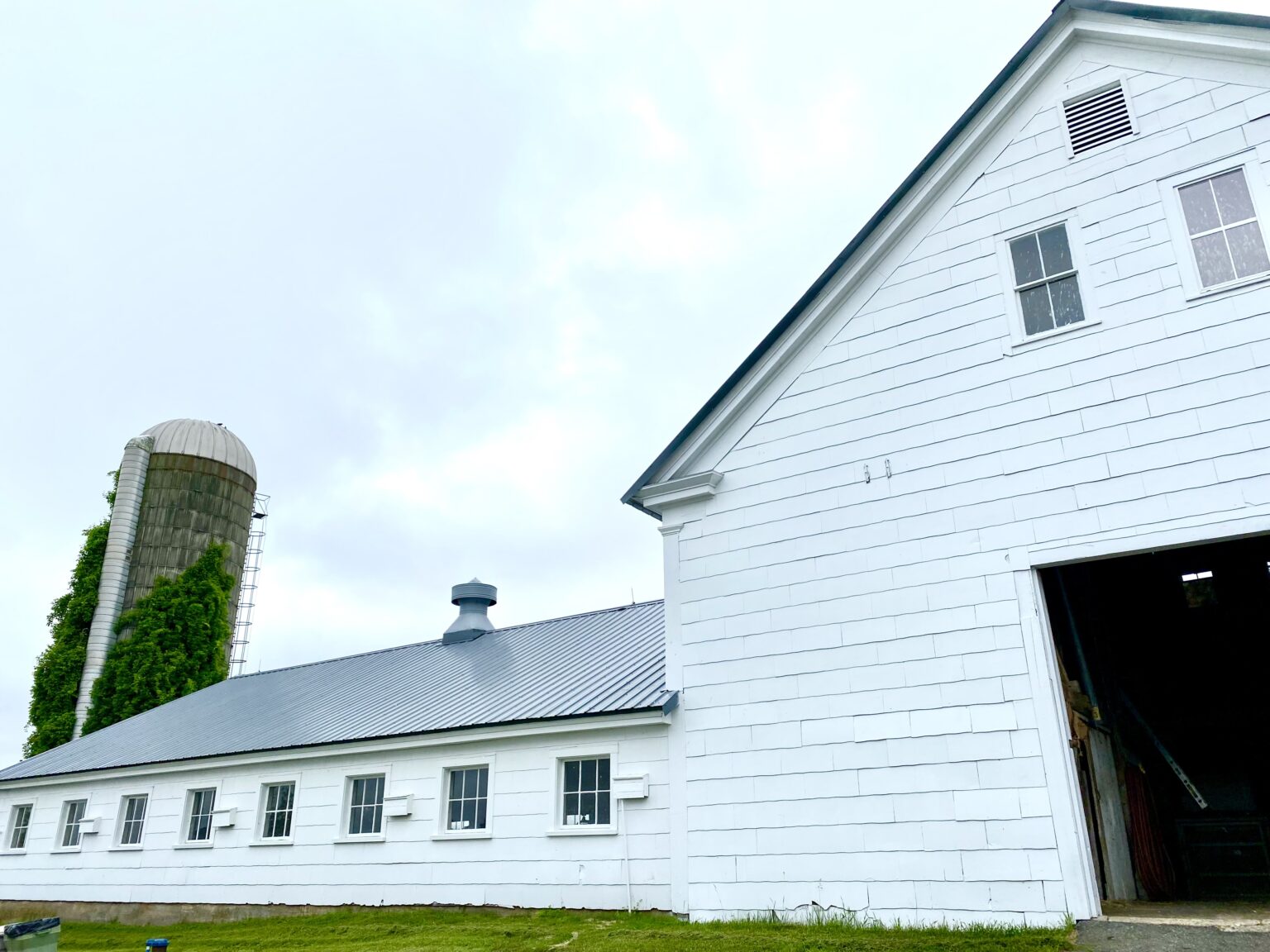 Muesli Carrot Breakfast Cookies (vegan, option) For A Digestive Peace